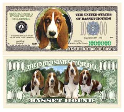  Dog_Basset